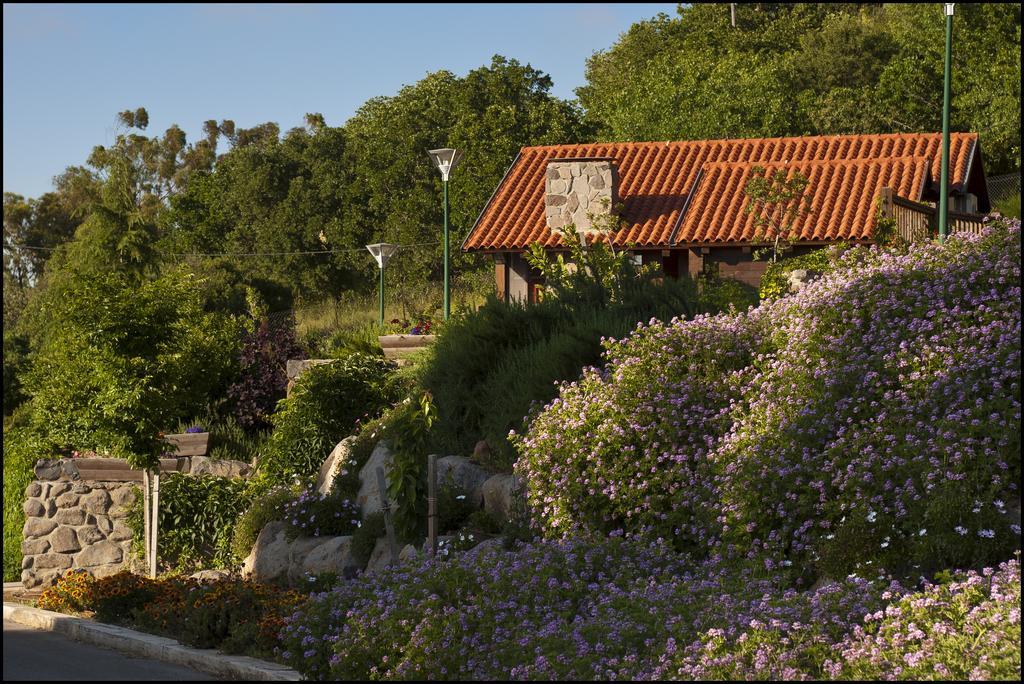 Merom Golan Resort Exterior foto